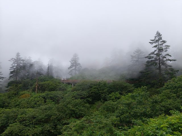 世界桌山-瓦屋山，來邂逅一場雲端的綺夢，奔赴這場心靈之約！