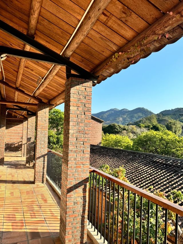 廣州從化菁木山舍，春日限定—紫藤花開