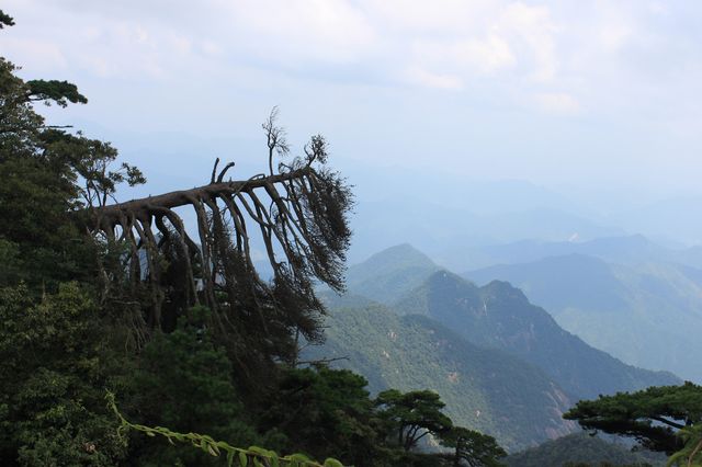 三清山|雲端仙境!道教聖地 三清山|雲端仙境!道教聖地