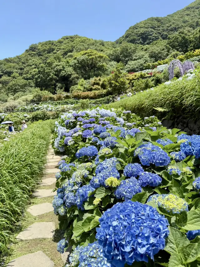 The Romantic Afternoon Amidst Blue and Purple Clouds