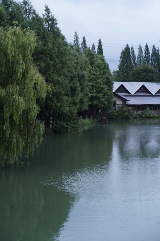 烏鎮烏村一票全包江浙滬遛娃天花板！！