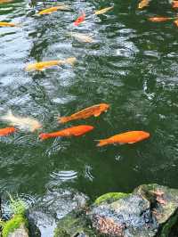 廣州周邊遊直達 | 順德清暉園美食一日遊