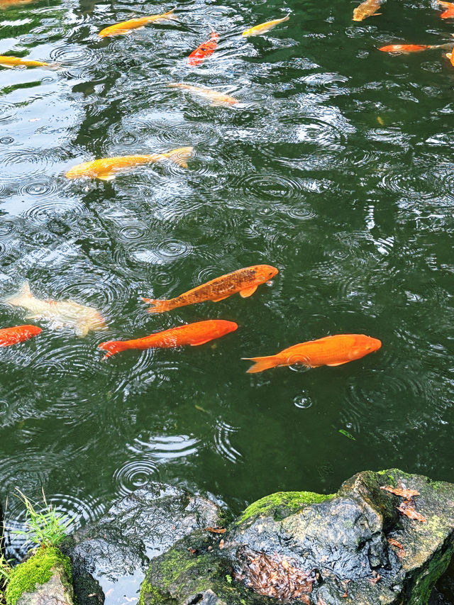 廣州周邊遊直達 | 順德清暉園美食一日遊