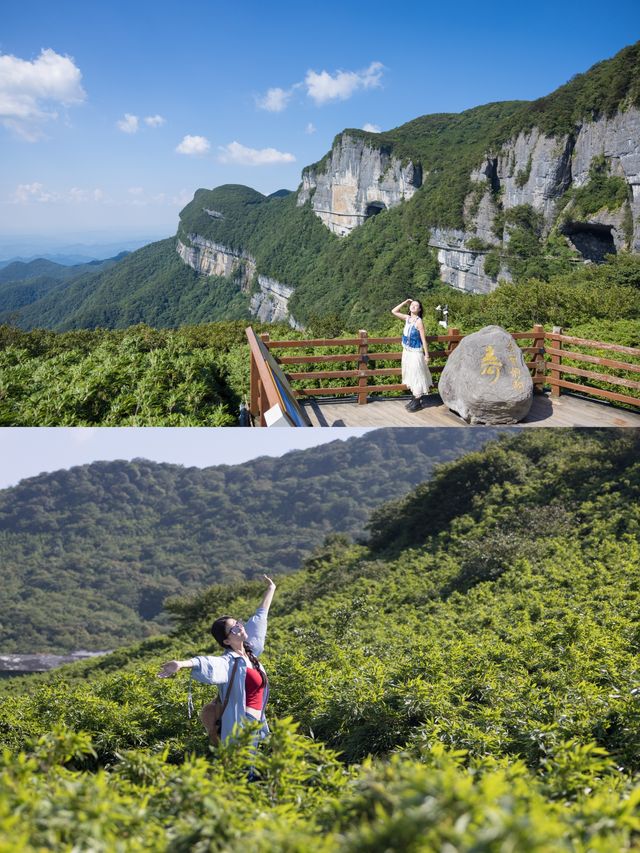 重慶避暑天堂！18度金佛山保姆級攻略來啦～