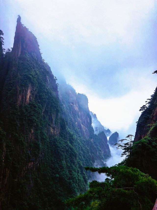 人間仙境--黃山 人間仙境--黃山