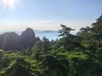 黃山美景帶娃輕鬆遊