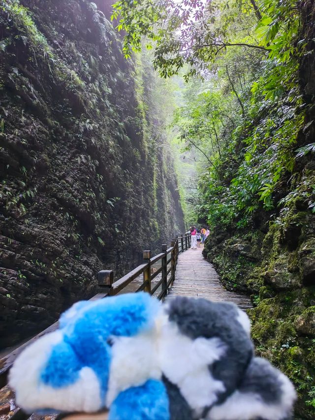 張家界4天3夜懶人包：探奇峰·品三下鍋·漫步雲端