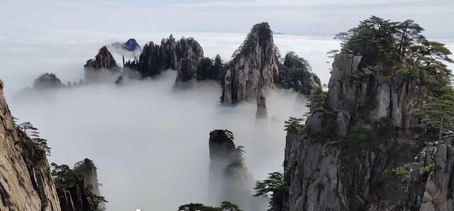 黃山3天2晚攻略:登頂奇山,邂逅日出雲海探秘雲霧丹霞祕境! 黃山3天2晚攻略:登頂奇山,邂逅日出雲海探秘雲霧丹霞祕境!