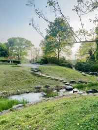 山水入畫，聯玉生態園的四季私語