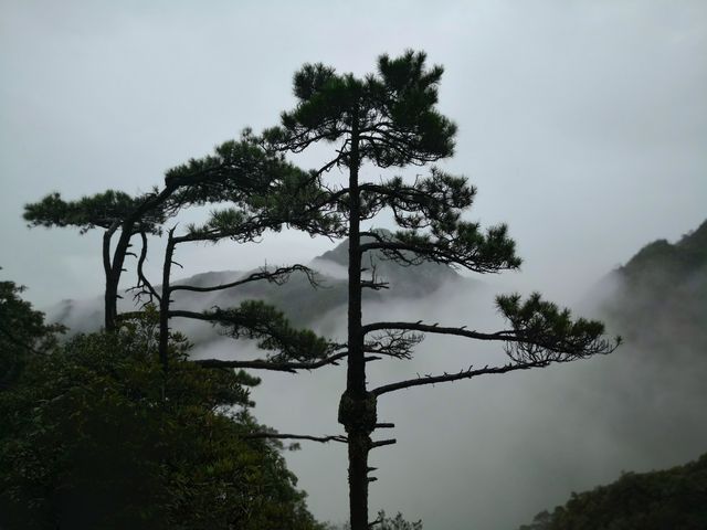 我看到的三清山