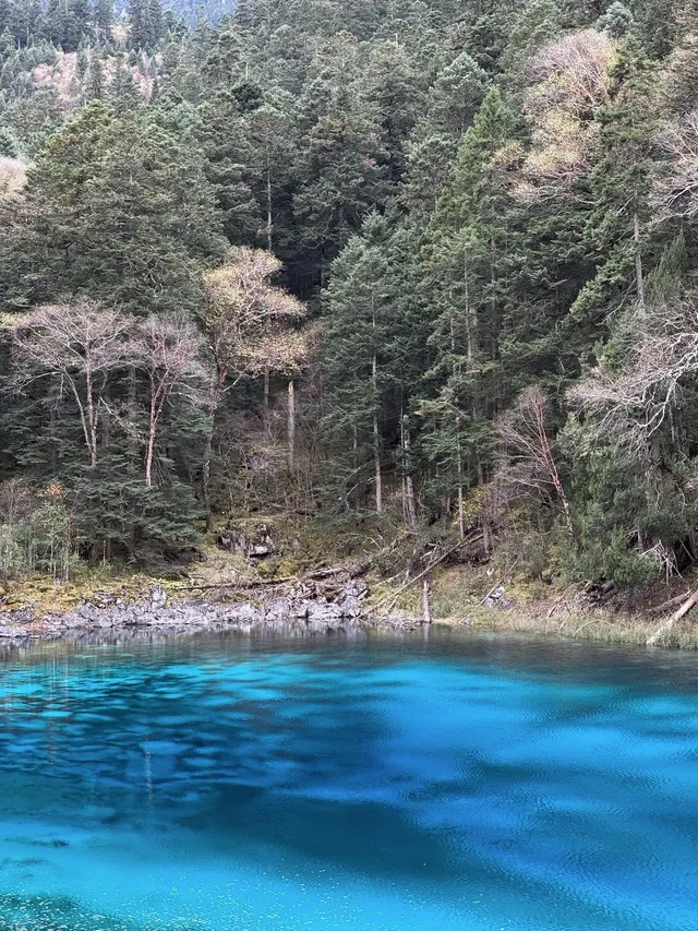 九寨溝錯峰出行 錯了個寂寞