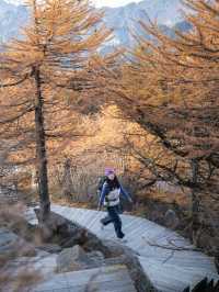 秋日太白山每一步都走在秦嶺的金色油畫裡
