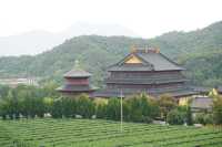 紹興隱藏版“小天壇”平陽寺，一鍵解鎖治癒系慢生活