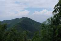 宜興1日遊：竹林深處探奇洞，自然風光一日享