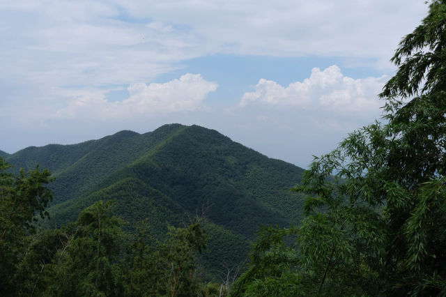 宜興1日遊：竹林深處探奇洞，自然風光一日享