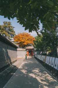 千年古剎的禪意密碼，在遼代木構中對話時空