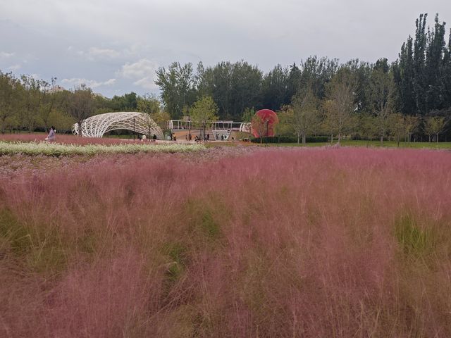 口袋公園-北小河公園 口袋公園-北小河公園