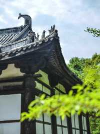 四川這座藏在村裡的元代大殿讓我破防了……