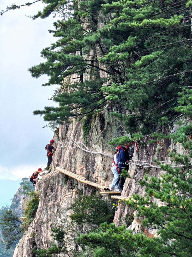 老君山十里畫屏絕了！山水畫照進現實