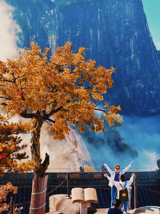 秋遊華山就選北峰線 索道直達的絕美秋景！