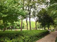 新虹橋公園漫步指南