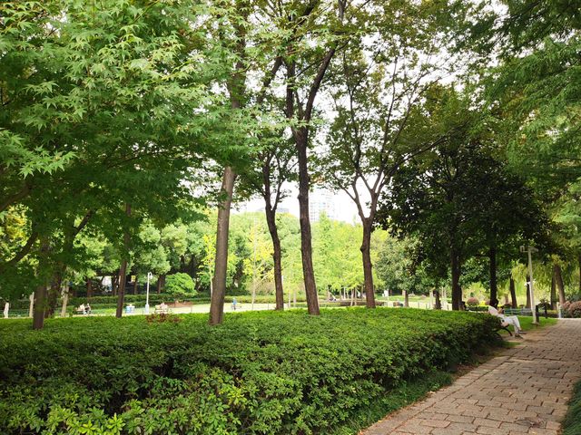 新虹橋公園漫步指南