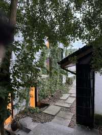 莫干山香草森林秘境|住進現實版莫奈花園,治癒感拉滿