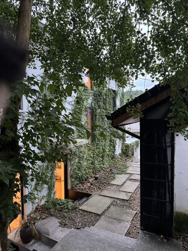 莫干山香草森林秘境|住進現實版莫奈花園,治癒感拉滿 莫干山香草森林秘境|住進現實版莫奈花園,治癒感拉滿