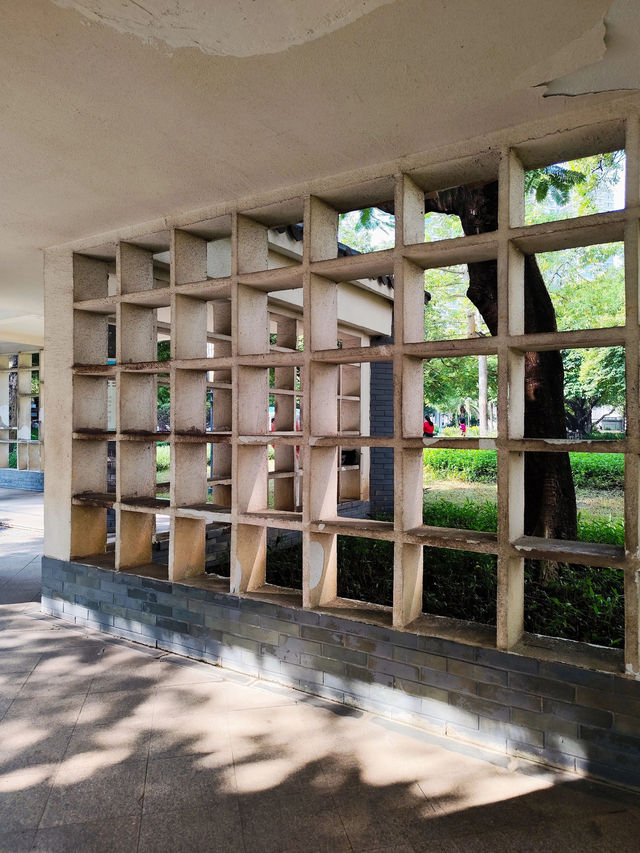 廣東|佛山,垂虹公園,秋天的陽光正好 廣東|佛山,垂虹公園,秋天的陽光正好