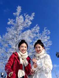 秋天的阿爾山,美到窒息!這份童話之旅一定要去!