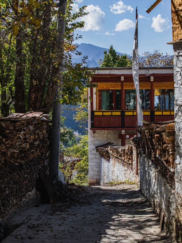 救命 川西秋日私藏秘境！99%人不知道的封神路線