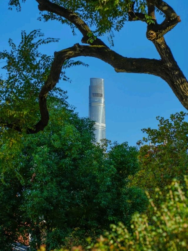 상하이 소주강 시티워크✨ 도시 속 포근한 여유시간 상하이 소주강 시티워크✨ 도시 속 포근한 여유시간