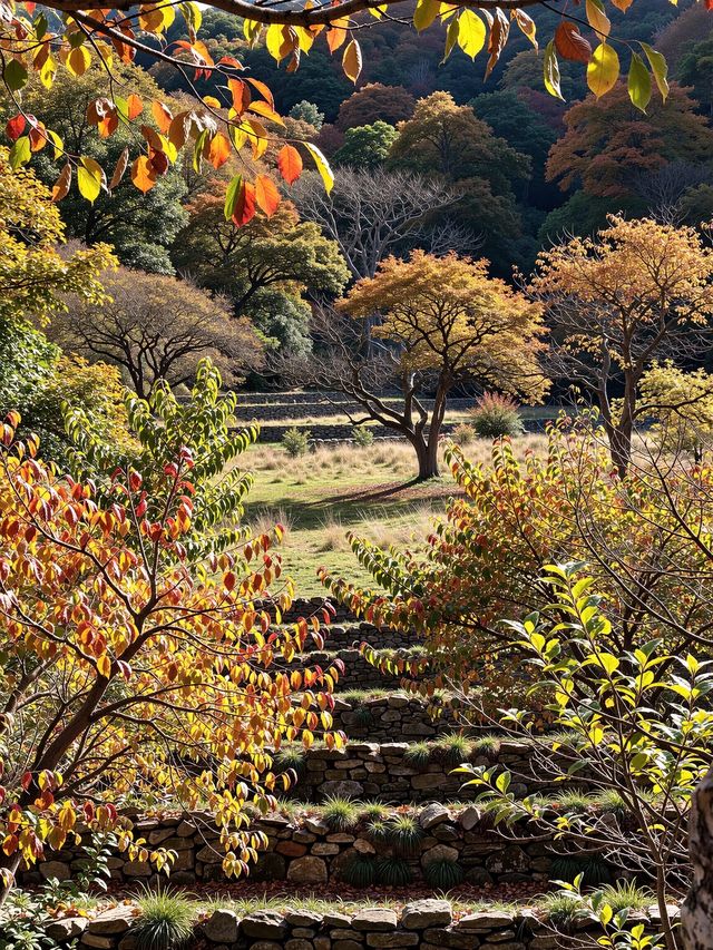北京人絕不告訴你！私藏0元紅葉秘境曝光