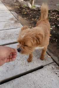 離天空很近的世外桃源小村莊