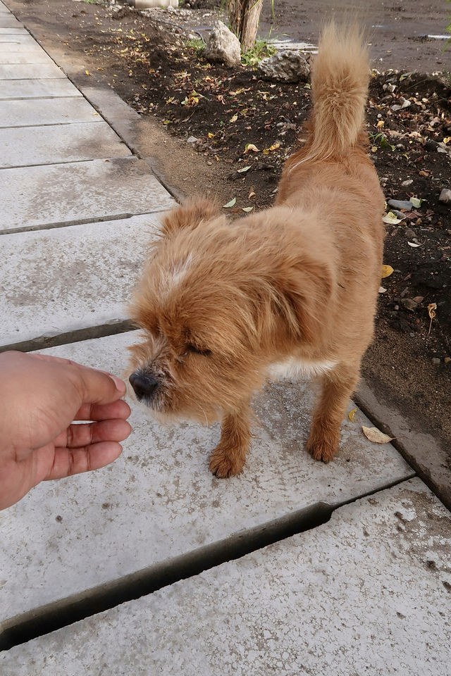 離天空很近的世外桃源小村莊