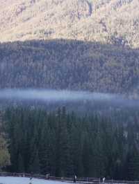 新疆喀納斯秋日童話遇見雪山松鼠的治癒時刻