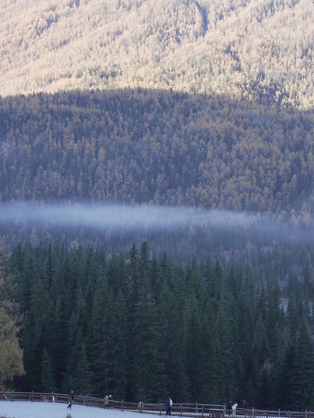 新疆喀納斯秋日童話遇見雪山松鼠的治癒時刻 新疆喀納斯秋日童話遇見雪山松鼠的治癒時刻