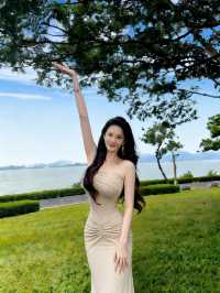 在深圳！找到了《怦然心動》同款的浪漫！