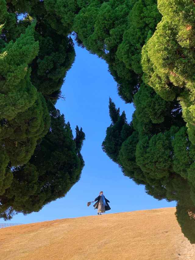 Live實況來青島拍到了18張人生照片！！