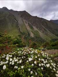 秋冬梅里雪山徒步全攻略日照金山+徒步安全指南