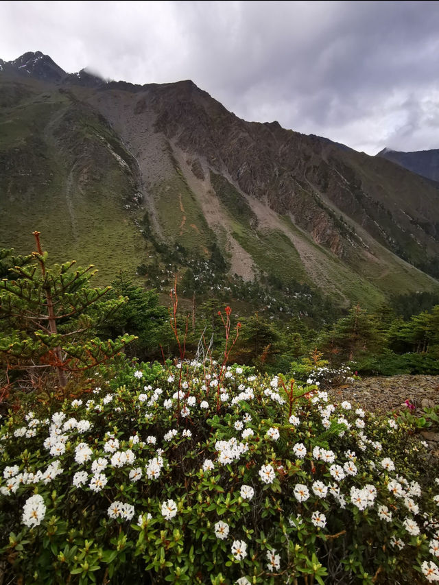 秋冬梅里雪山徒步全攻略日照金山+徒步安全指南