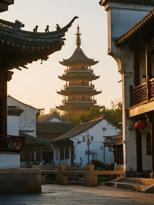 泰州親子遛娃｜免費景點打卡攻略12.31前衝