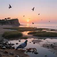 來北戴河開啟一場浪漫的海濱之旅吧