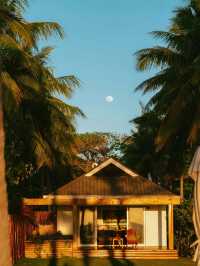 聖誕捡漏斐濟Lomani現房速衝