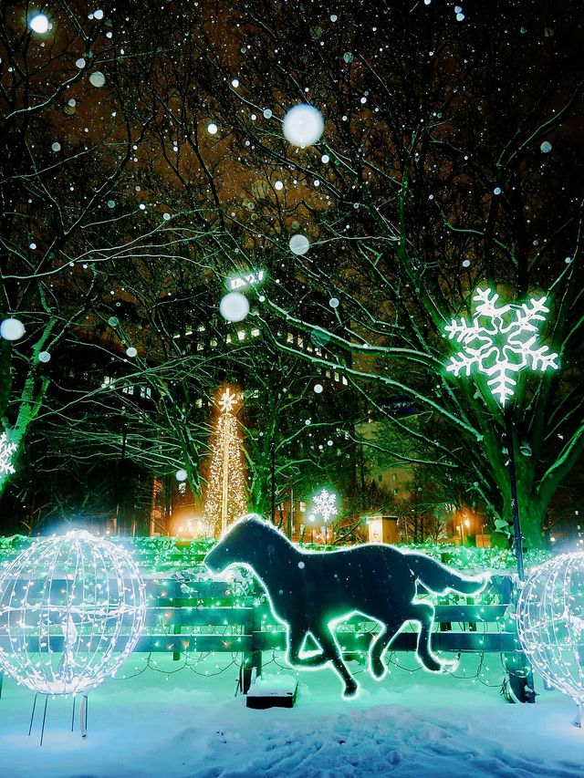 北海道札幌冬日點燈全攻略比東京還浪漫的白色燈樹節?