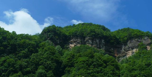 天然大氧吧一一黎坪森林公園