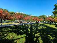 冬天裡的長沙，是這樣的……