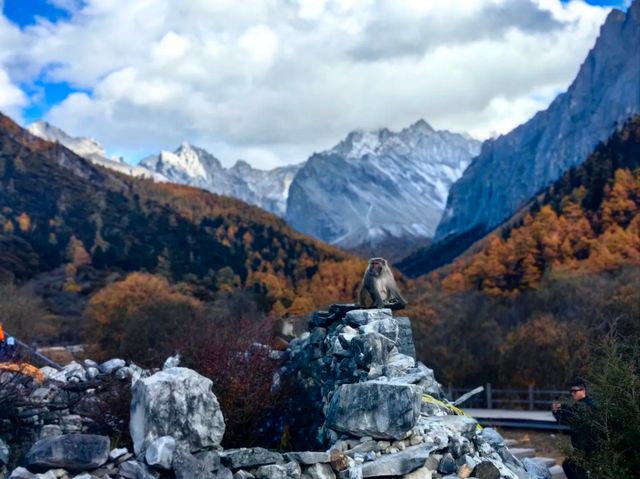 朝聖亞丁神山絕美路線