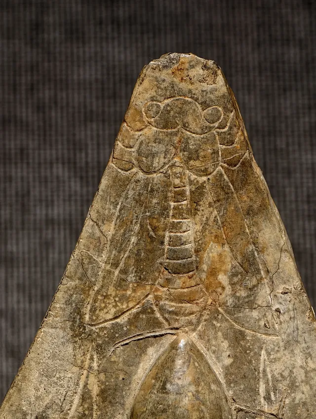 【湖南博物館】東方微笑—青州造像展開幕啦 【湖南博物館】東方微笑—青州造像展開幕啦