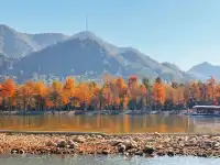 11.15皖南川藏線之落羽紅杉林